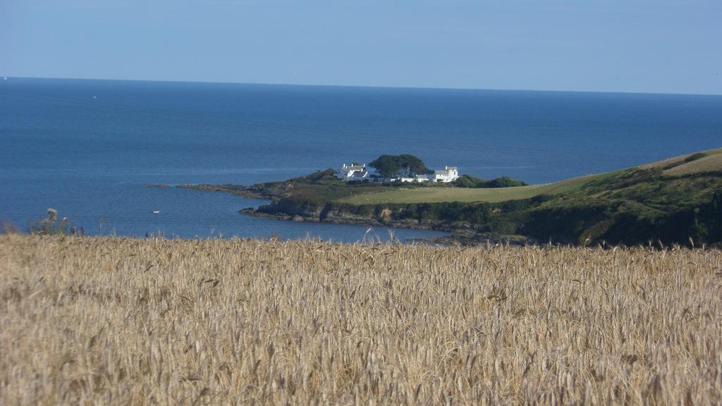 Wild Air Guest House Mevagissey Exteriér fotografie